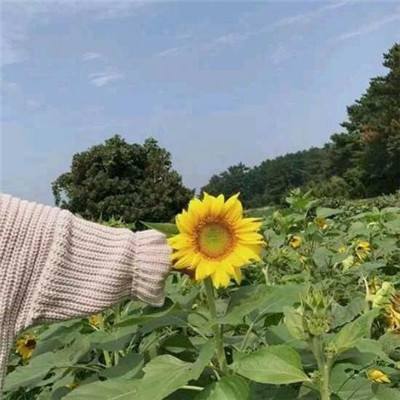 “三分一保”改出新天地——贵州修文县创新农业经营机制助农增收